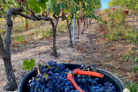 design-sans-titre-72