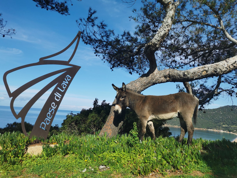 2025 - Paese di Lava - anes