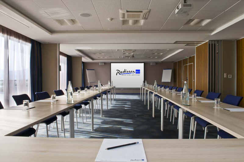 2013 - Radisson - salle de réunion