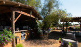 20250630-dsc-0025-8891