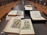 bibliotheque-livre-8975