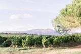 domaine-comte-peraldi-2-5574