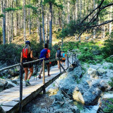 rando-vizzavona7-8485