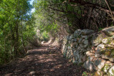 sentier-charbonni-res-redi-5-9154