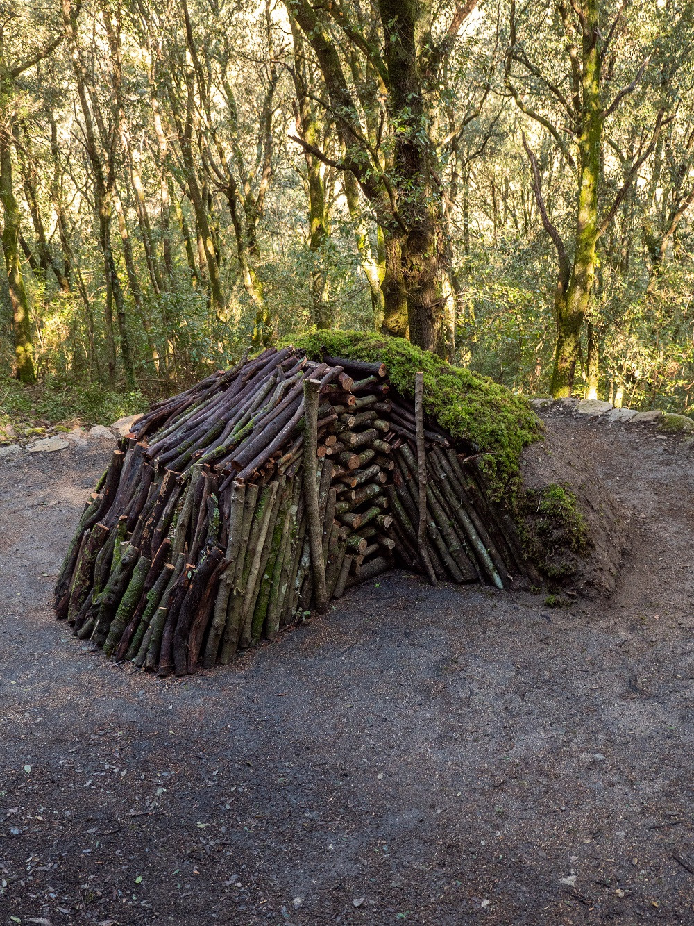 02-1-8-vdm-12-red-8254 02-1-8-vdm-12-red-8254