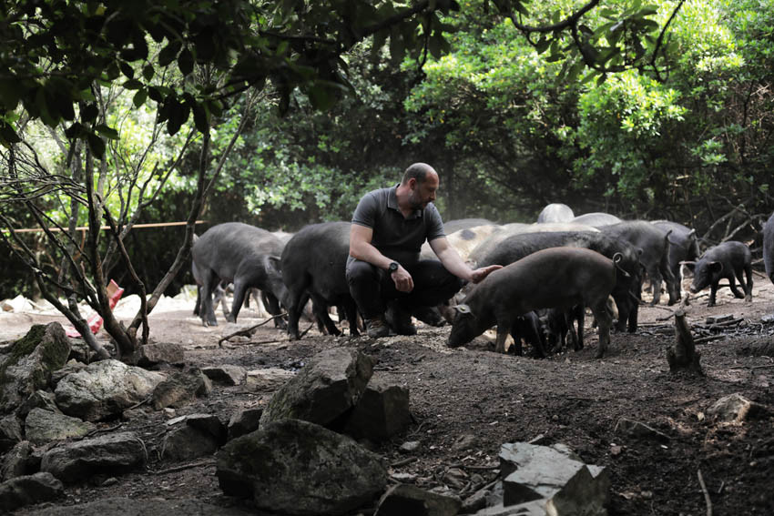 12678fa272aeb740cc5ec9650f962d000ca839ef-terradisiacochons8-8459