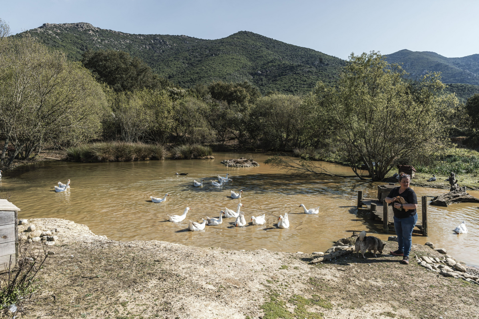 15-fromagerie-capra-2-1-8556 15-fromagerie-capra-2-1-8556