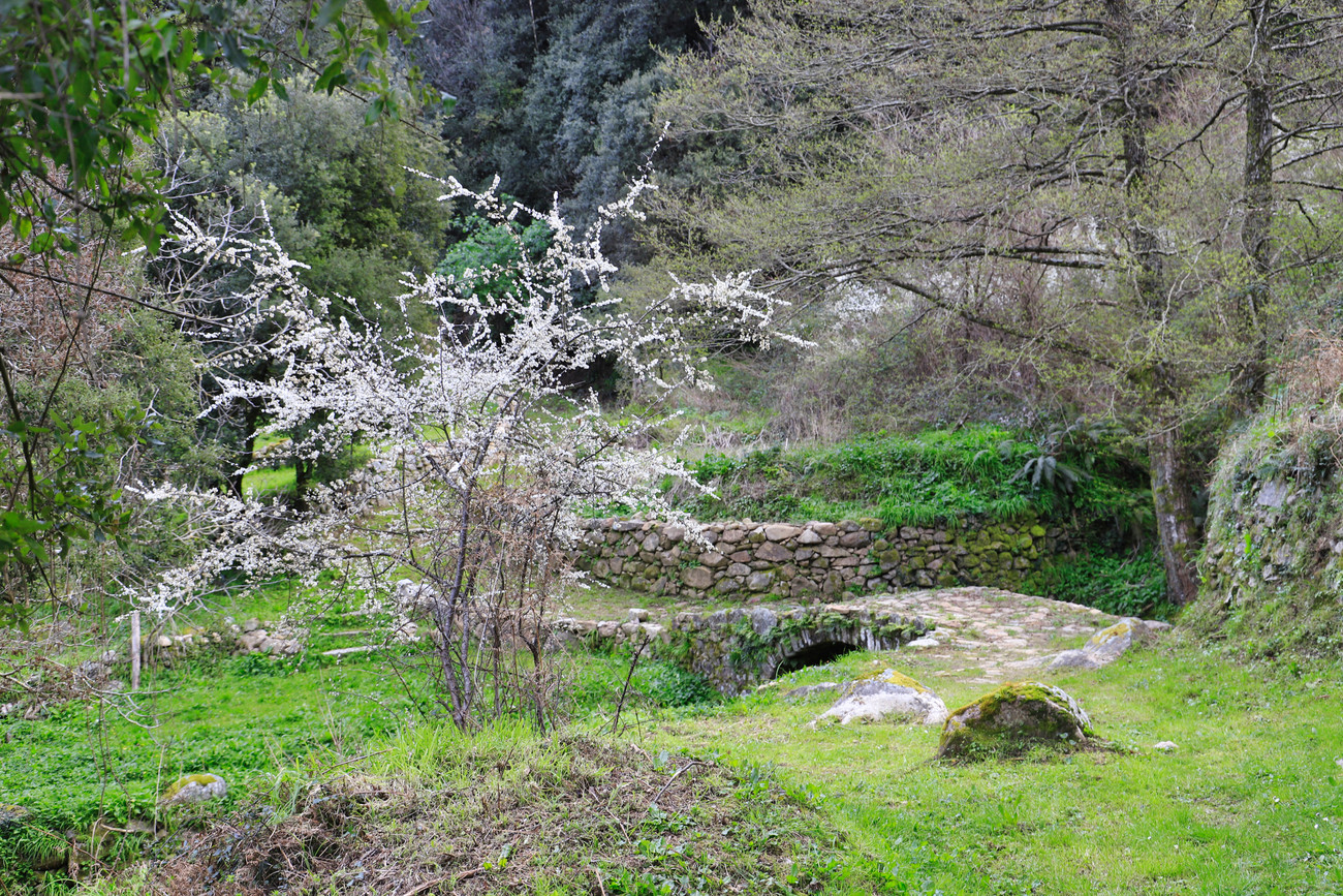 2021- Peri- sentier du patrimoine