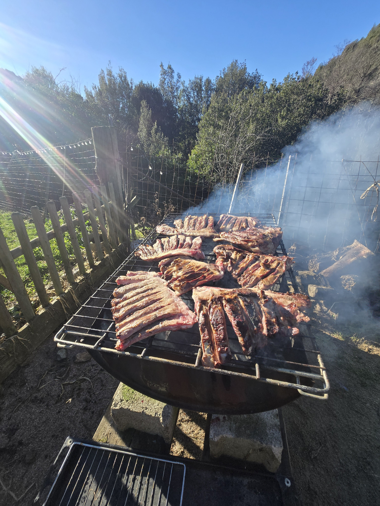 20251228-123740-8193