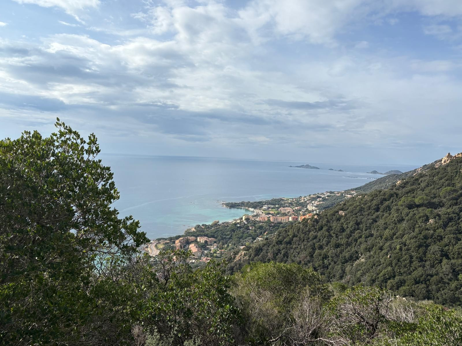 ab7bb638-f298-4788-8d19-92c8db57c265-8000 ab7bb638-f298-4788-8d19-92c8db57c265-8000