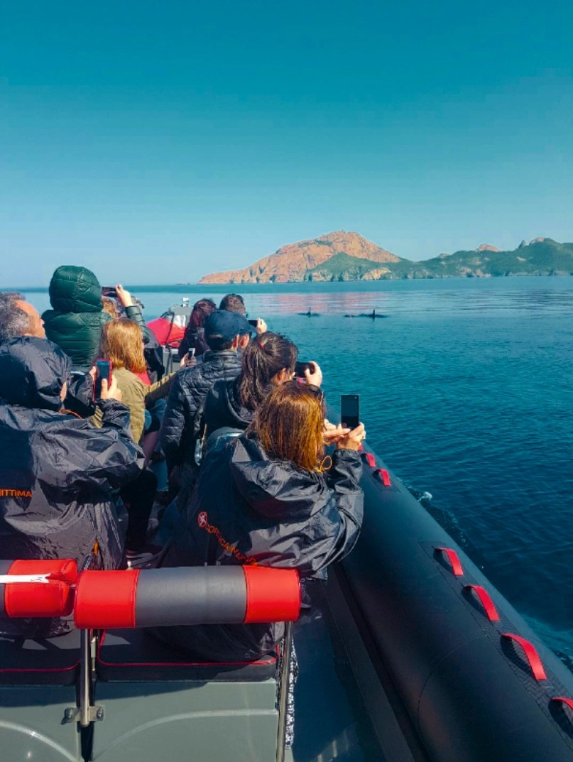 capture-d-ecran-2025-07-30-a-11-58-47-8329 capture-d-ecran-2025-07-30-a-11-58-47-8329