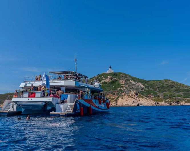 catabeach-demi-j-7715
