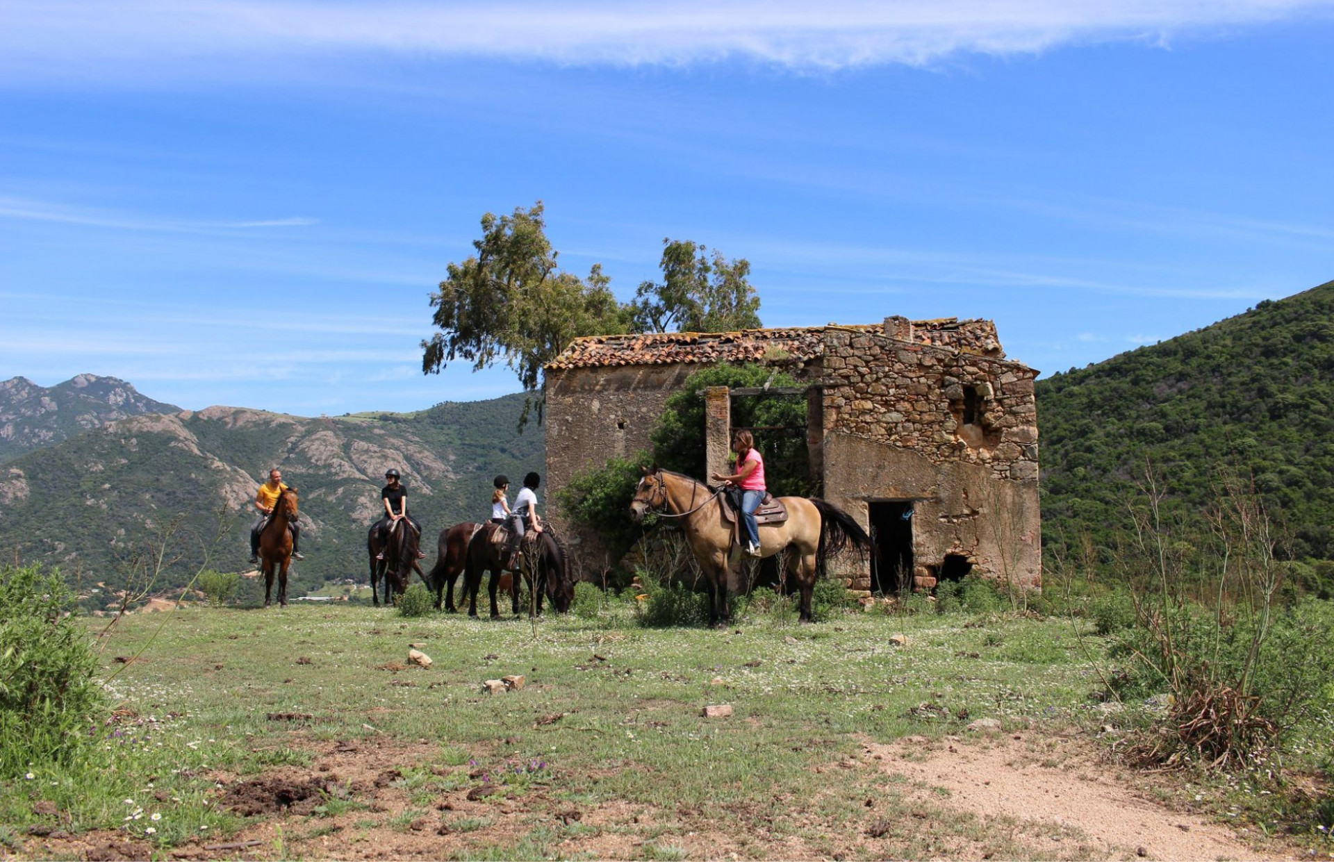 design-sans-titre-7758 design-sans-titre-7758