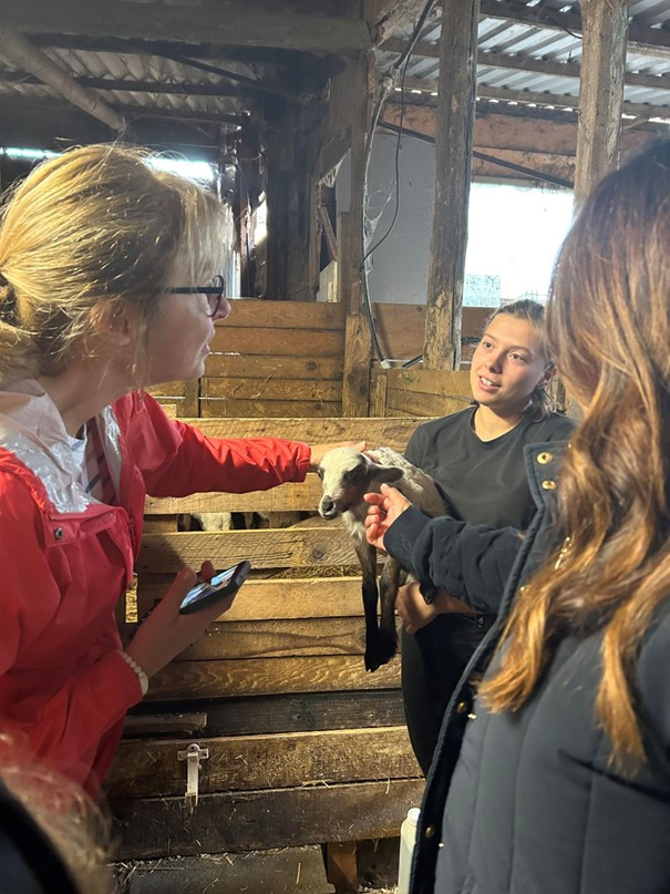 emilie-7861-7922 emilie-7861-7922