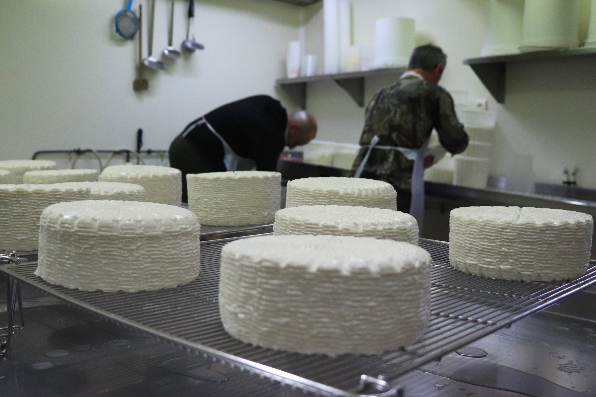 img-1620-8361 img-1620-8361