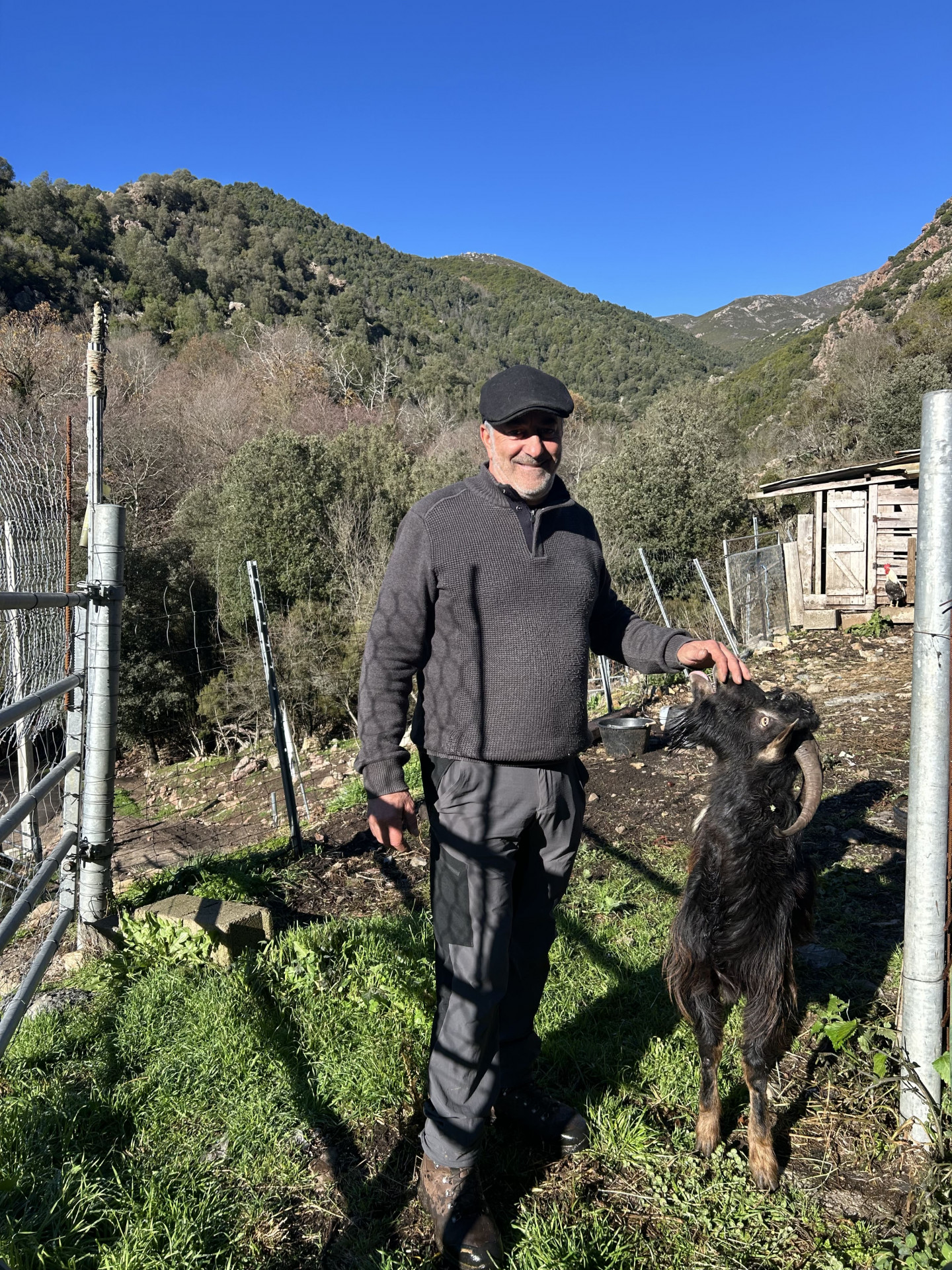 lionel2-8177 lionel2-8177