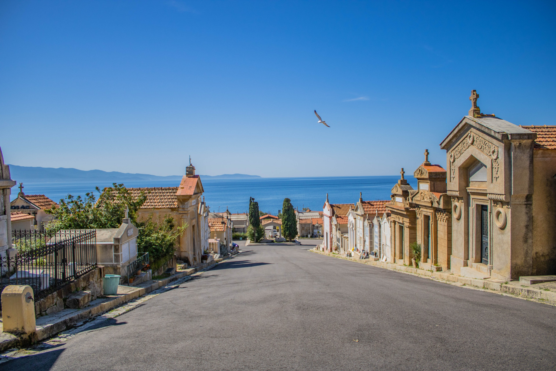 melody-agency-2024-printemps-aja-13-8512