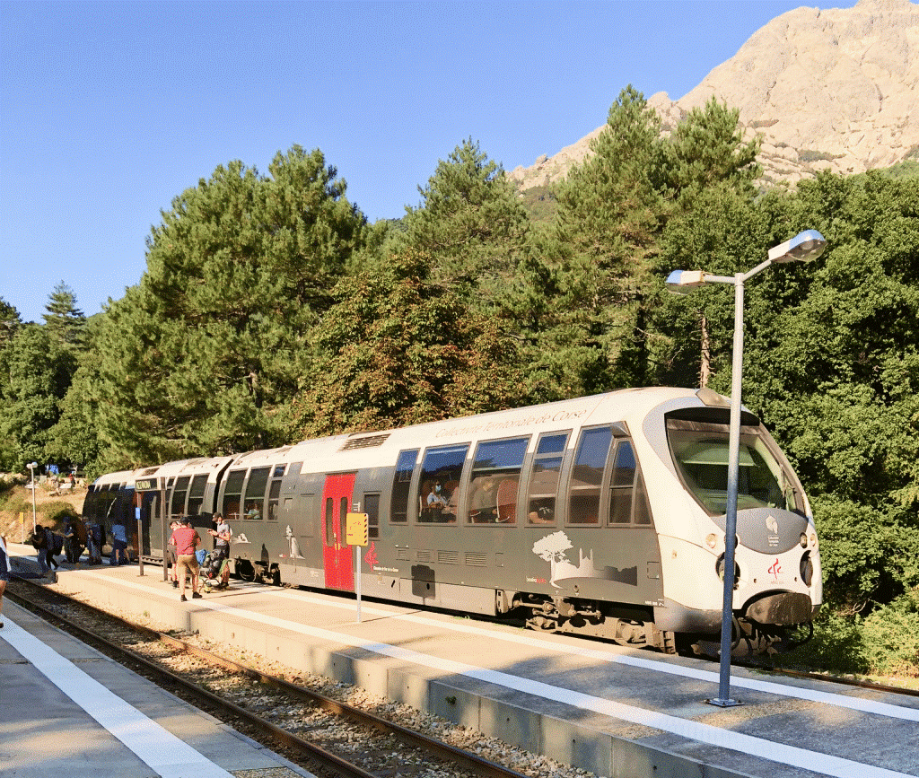 rando-vizzavona10-8484 rando-vizzavona10-8484