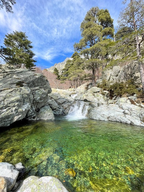 rando-vizzavona11-8488 rando-vizzavona11-8488