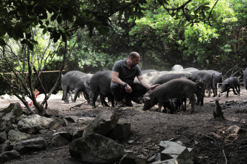 12678fa272aeb740cc5ec9650f962d000ca839ef-terradisiacochons8-8459