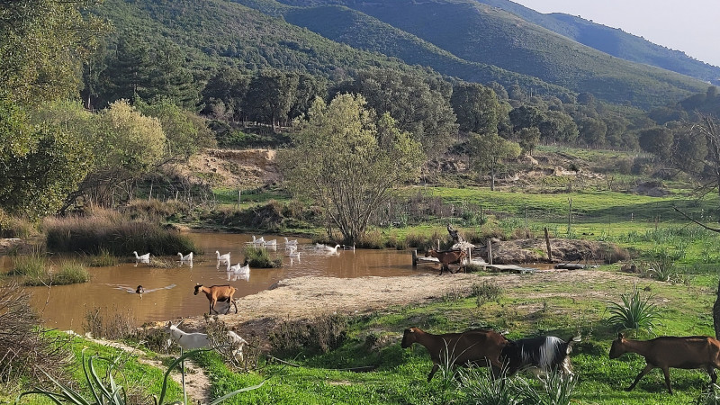 2022 -fromagerie capra - paysage