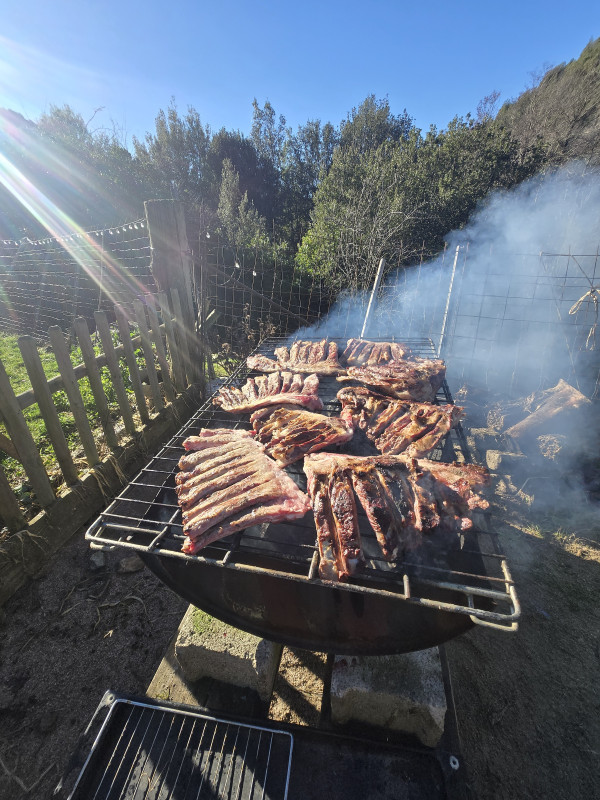 20251228-123740-8193