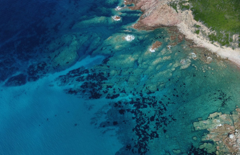 2026-snorkeling-cacao-scandola-neptune-croisi-res-8277