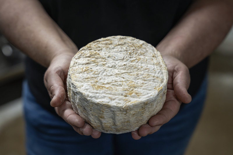 24-fromagerie-capra-8554