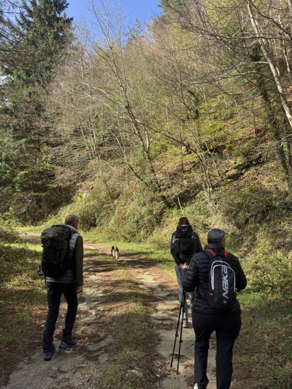 60a9f621-dcb6-457e-8e7e-197ec899d98c-8605