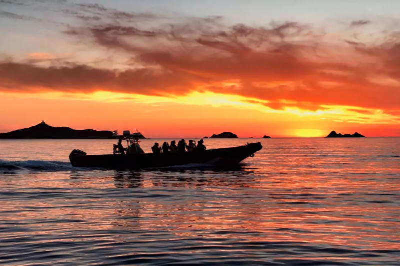 800x600-3874006478-1200x800x75-7335-8542 800x600-3874006478-1200x800x75-7335-8542