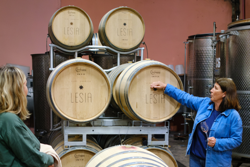 astronomie-dans-les-vignes-4-5592 astronomie-dans-les-vignes-4-5592