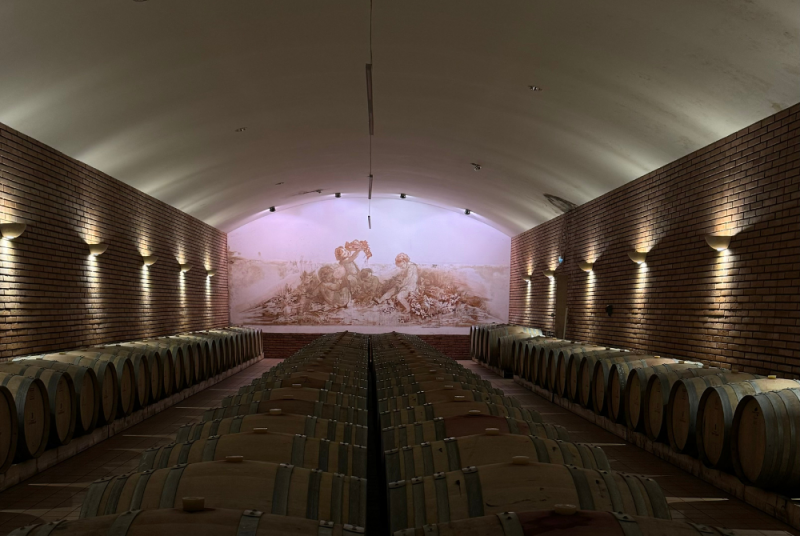 astronomie-dans-les-vignes-7-5596 astronomie-dans-les-vignes-7-5596