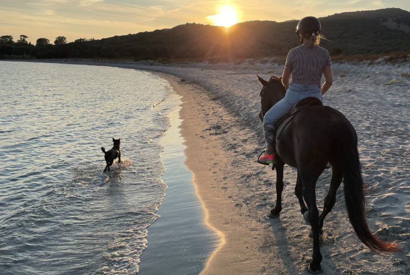 balade-des-sens-2-5555 balade-des-sens-2-5555