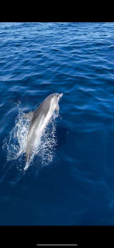 d3843e7a-464a-420e-963b-a7384e373e6c-8285 d3843e7a-464a-420e-963b-a7384e373e6c-8285