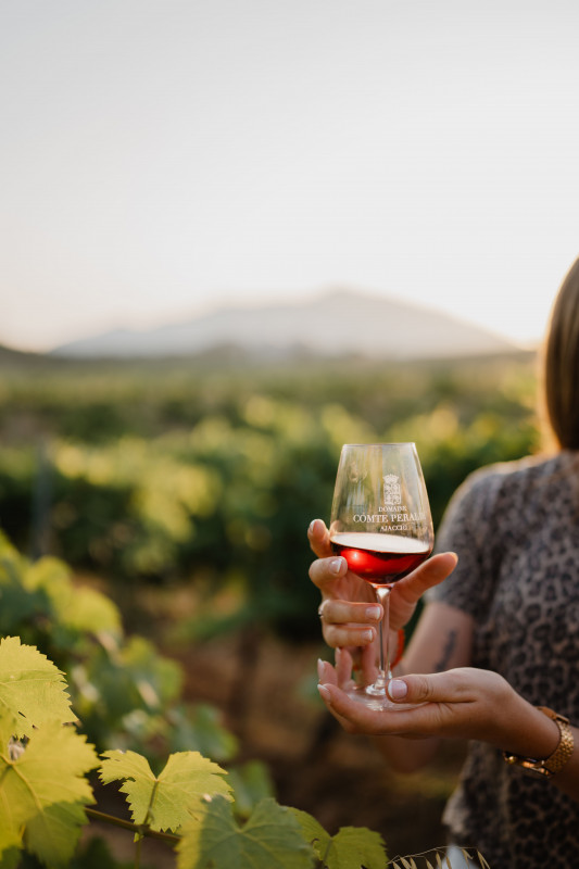 dsc07565-7990 dsc07565-7990