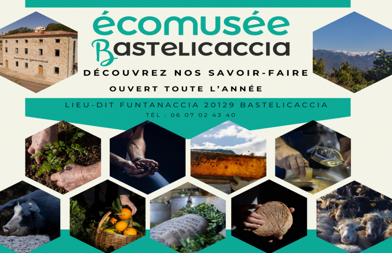 ecomusee-bastelicaccia-1980x1280-8680