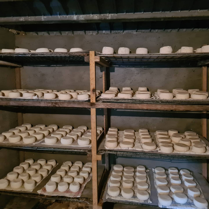 img-20210428-201553-373-8190