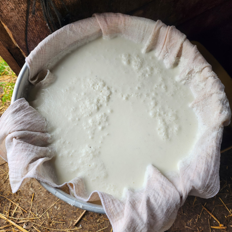 img-20230418-102722-854-8195