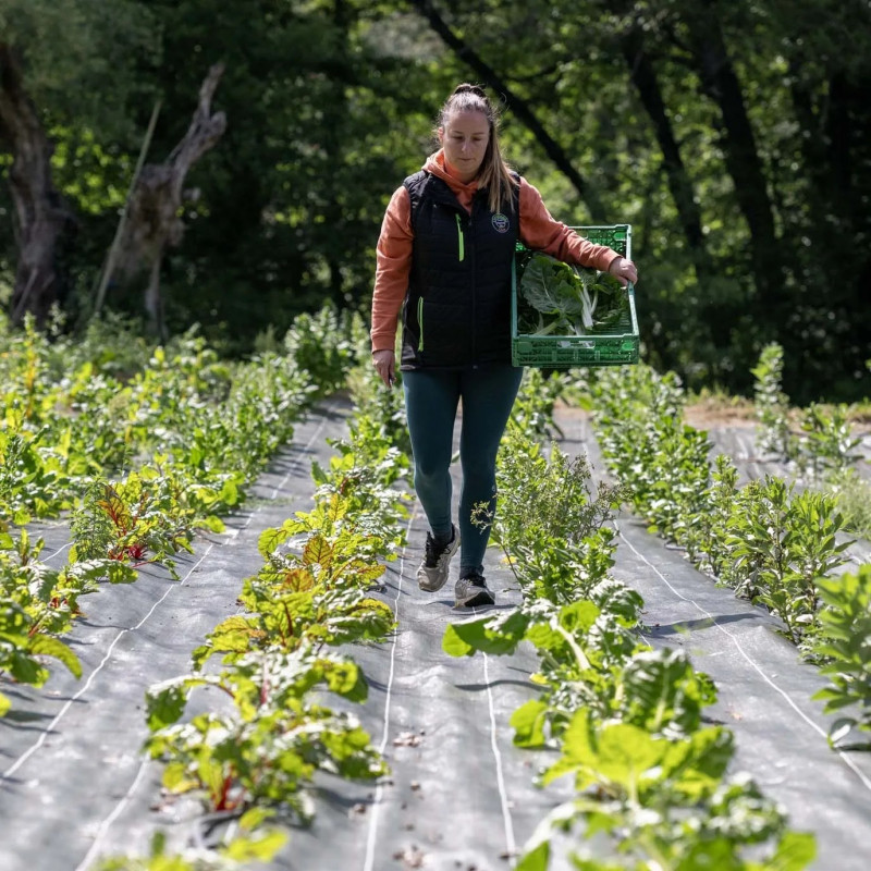 mattea-8398 mattea-8398