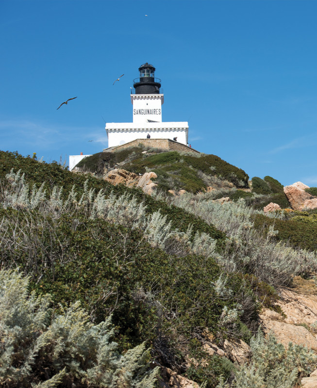 naveva-saguinaires02-1020x1250-100-7000