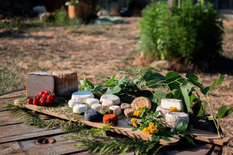 plateau-fromages-7860