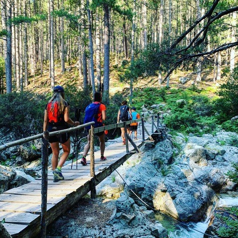 rando-vizzavona7-8485